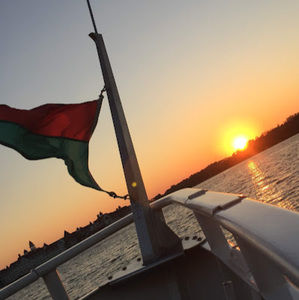 Meet your Posher, Haley